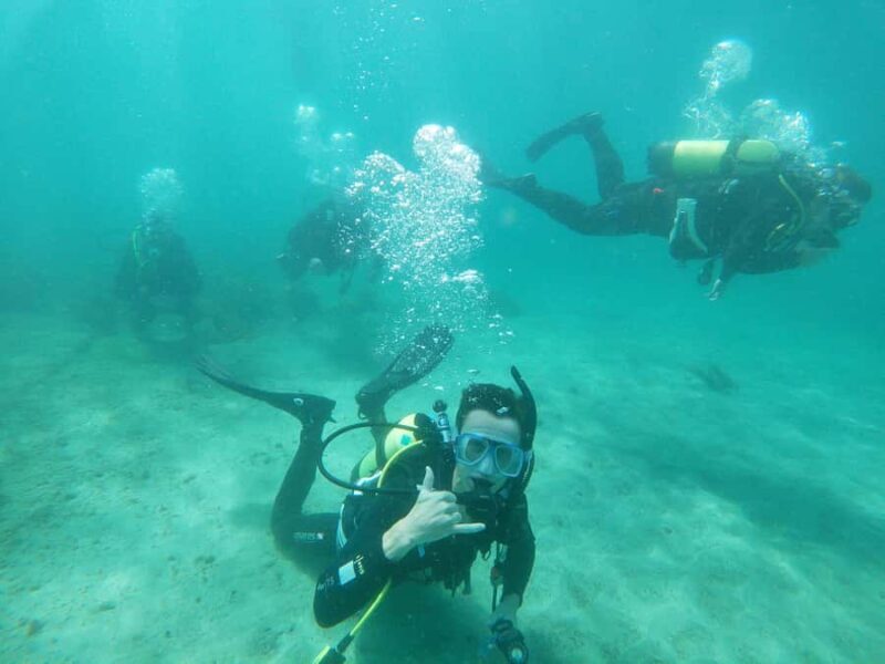 Guided Shore Dive Tour for Certified Divers - The Sum Up