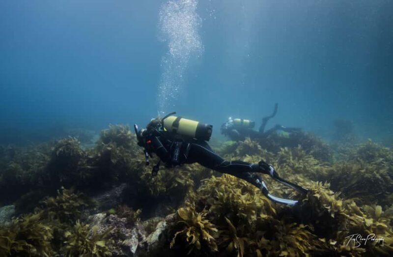 Guided Shore Dive Tour for Certified Divers - FAQ