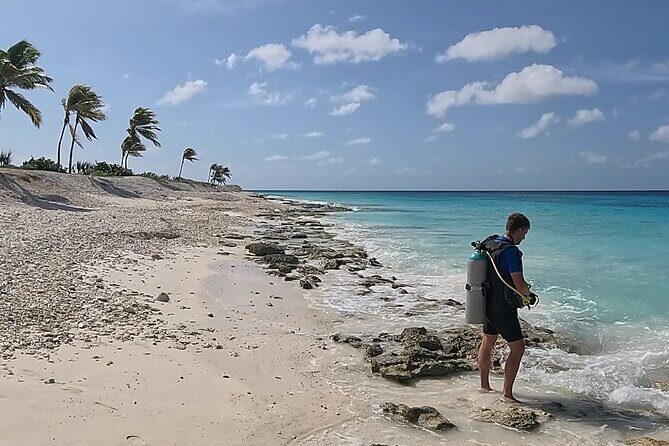 guided Shore Diving in Bonaire Marine Park with 2 Dives - The Guides and Their Role