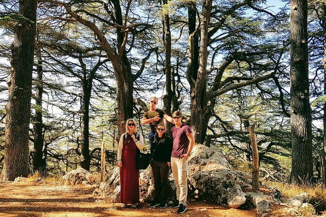 Guided Small-Group Tour to Baalbek, Cedars & Qozhaya with Lunch - Who Will Love This Tour?