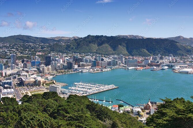 Guided Small Group Walking Tour in Wellington - Real Traveler Experiences