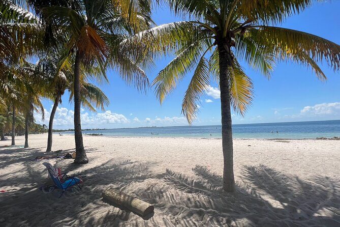 Guided Snorkel Experience, Free Videos in West Palm Beach - What to Expect from the Tour