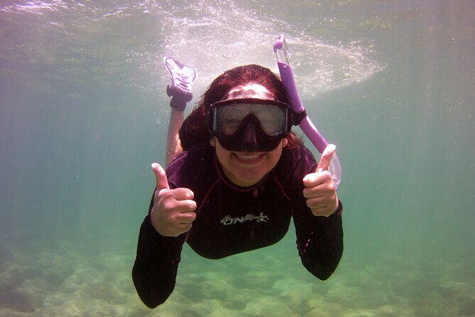 Guided Snorkel Experience in Fort Lauderdale - Key Points