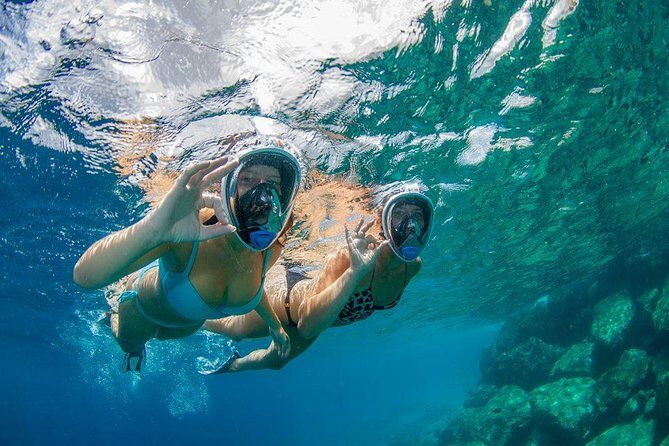 Guided Snorkel Tour at the Best Reef from shore on Curacao - Blue Bay Beach - What You Can Expect From the Tour