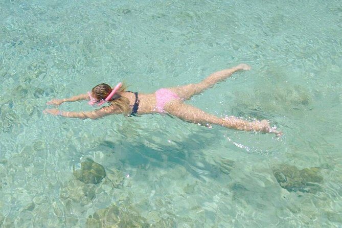 Guided Snorkel Tour at the Best Reef from shore on Curacao - Blue Bay Beach - Pricing and Value