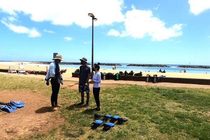 Guided Snorkel Tour for Beginners in Honolulu - Authentic Feedback from Past Participants