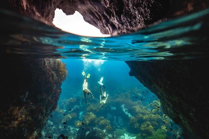 Guided Snorkeling and Island Exploration in Auckland - Introduction
