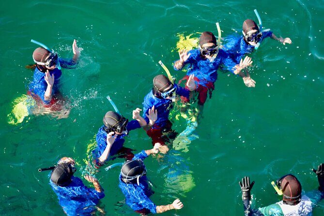 Guided Snorkeling and Island Exploration in Auckland - The Sum Up