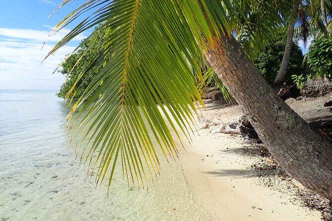 Guided Snorkeling and Relaxation on the Motu Ofetaro in Raiatea - Who Will Love This Tour?