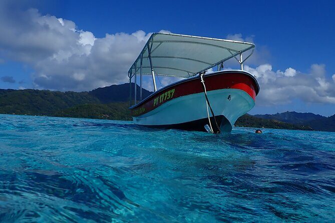 Guided Snorkeling and Relaxation on the Motu Ofetaro in Raiatea - The Sum Up