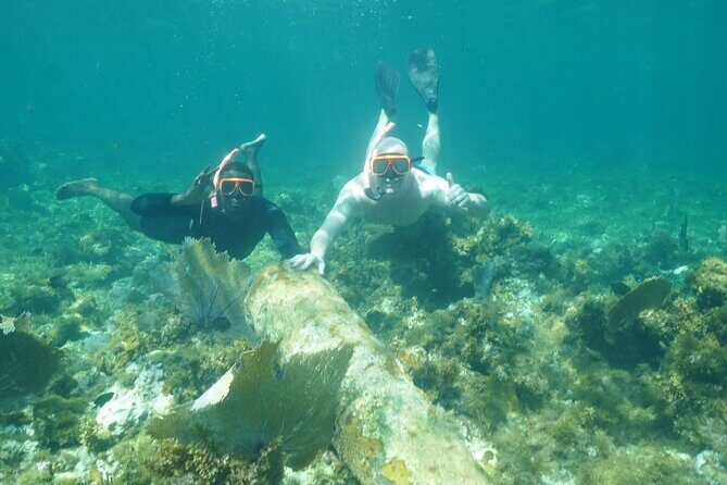 Guided Snorkeling at the Anchor and Cannon Reef in Negril - An in-Depth Look at the Tour Experience