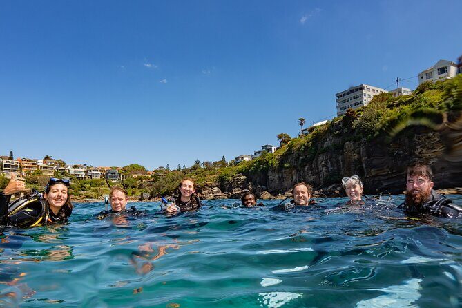 Guided Snorkeling Experience in Bondi - What the Tour Offers and Why It Matters