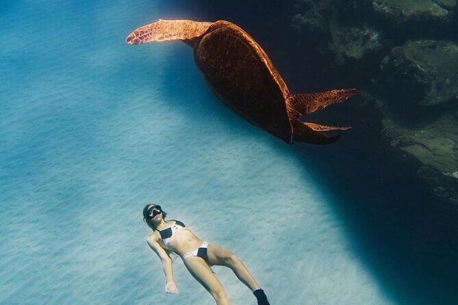 Guided Snorkeling for Beginners with Flotation Wetsuit - The Sum Up