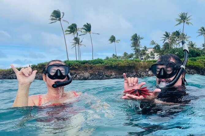 Guided Snorkeling for Beginners with Flotation Wetsuit - FAQ