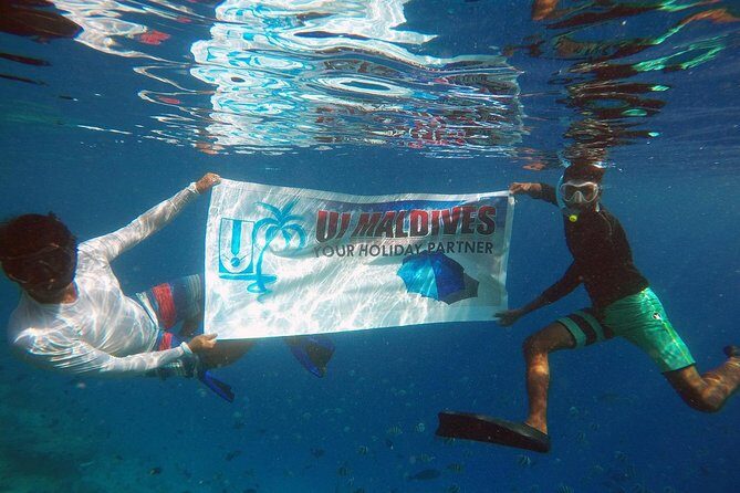 Guided Snorkeling Trip - The Value of This Tour