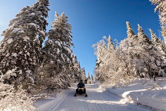 Guided Snowmobile Tours Upper Laurentians - Who Will Love This Tour?
