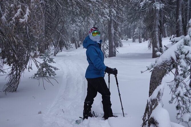 Guided Snowshoe Experience in Lake Tahoe - The Sum Up: Is it Worth It?