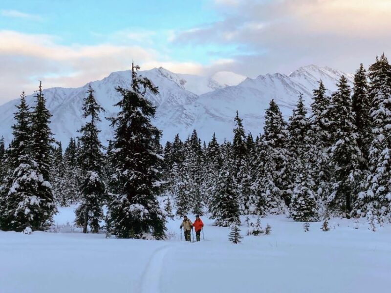 Guided Snowshoeing Adventure from Seward, Alaska - The Real Value of the Experience