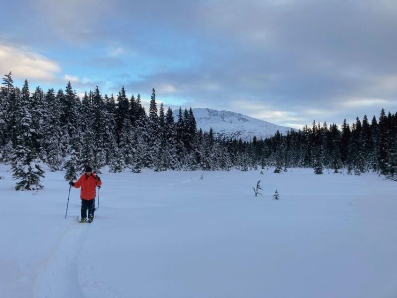 Guided Snowshoeing Adventure from Seward, Alaska - The Experience in Practice