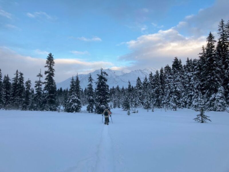 Guided Snowshoeing Adventure from Seward, Alaska - Practical Details and Tips