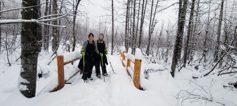 Guided Snowshoeing Adventure from Seward, Alaska - The Sum Up