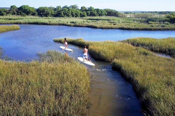 Guided Stand Up Paddleboarding Activity in Hilton Head Island - Final Thoughts on the Value
