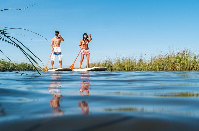 Guided Stand Up Paddleboarding Activity in Hilton Head Island - Who Should Consider This Tour?