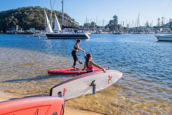 Guided Step-Up Paddle Board Tour of Narrabeen Lagoon - What to Expect from the Tour
