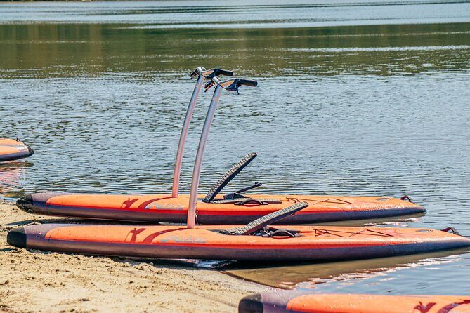 Guided Step-Up Paddle Board Tour of Narrabeen Lagoon - Practical Tips for Participants