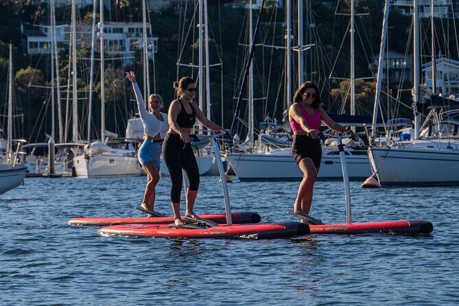 Guided Step-Up Paddle Board Tour of Narrabeen Lagoon - The Sum Up