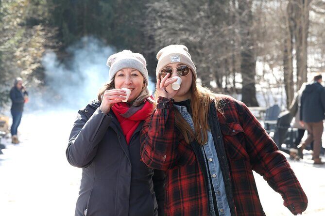Guided Sugar Bush Tour and Beer Tasting from Toronto - Key Points
