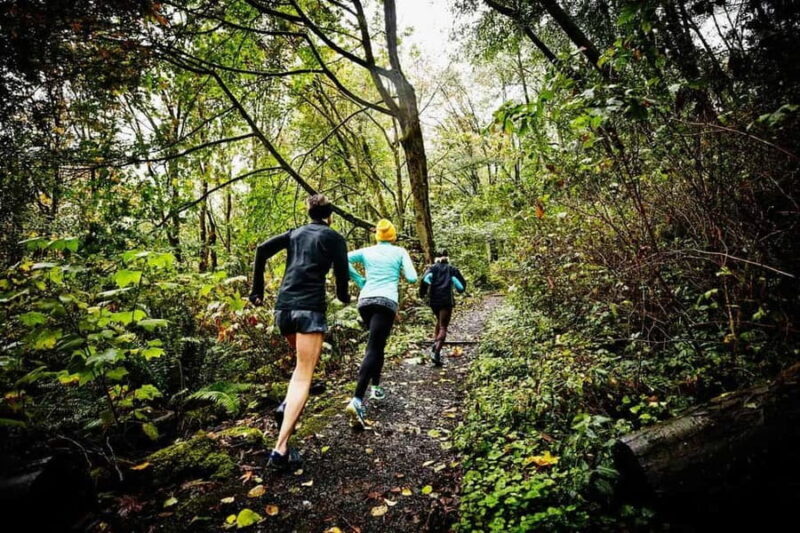 Guided Sunrise Adventure Trail Run Table Mountain, Cape Town - What to Expect: A Deep Dive into the Trail Experience