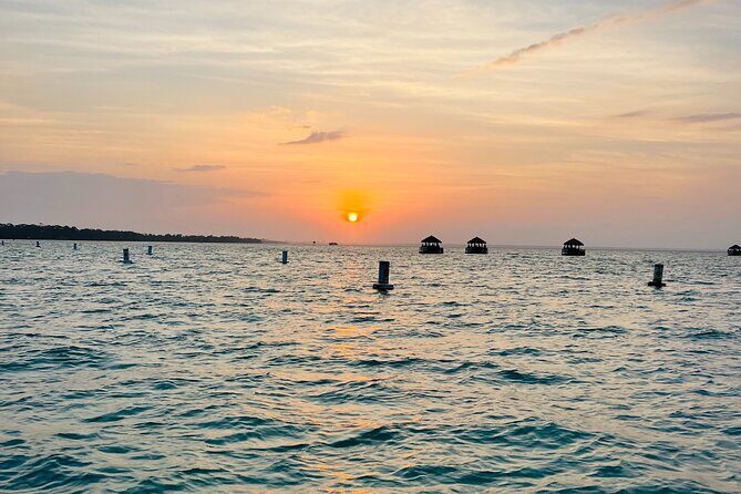 Guided Sunset and Dolphin Cruise Non Private in Destin, FL - A Closer Look at the Experience