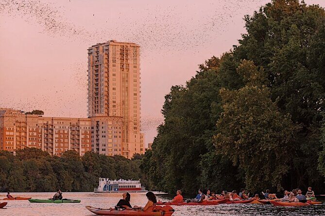 Guided Sunset Bat Kayak Tour in Austin - What Travelers Are Saying