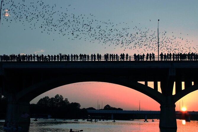 Guided Sunset Bat Kayak Tour in Austin - Frequently Asked Questions