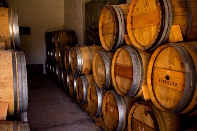 Guided tour and tasting of 4 wines at Viñedo Dos Búhos - Key Points