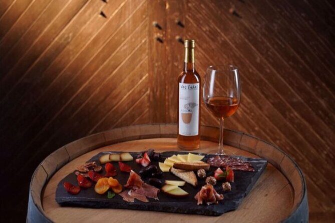 Guided tour and tasting of 4 wines at Viñedo Dos Búhos - The Vineyard Tour and Tasting Experience