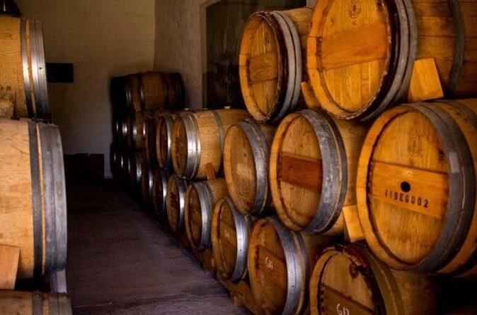 Guided tour and tasting of 4 wines at Viñedo Dos Búhos - What’s Unique About Their Wines?