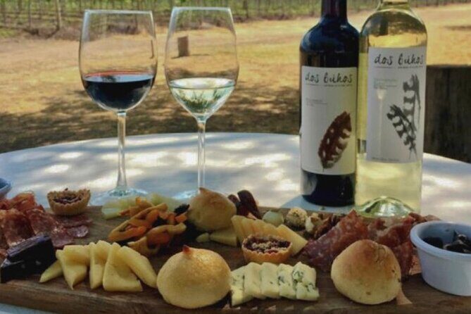 Guided tour and tasting of 4 wines at Viñedo Dos Búhos - The Cost-Value Proposition
