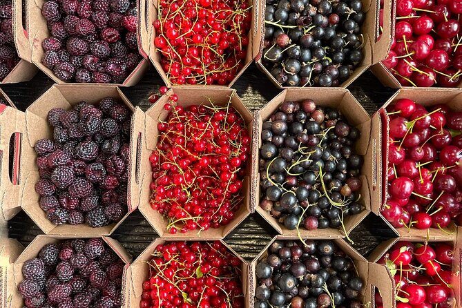 Guided Tour and Tastings at Jean-Talon Market with a Food Writer - The Experience in Detail
