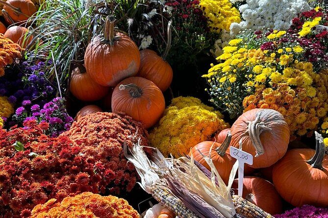 Guided Tour and Tastings at Jean-Talon Market with a Food Writer - Final Thoughts