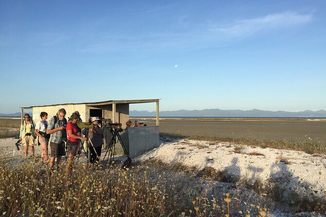 Guided Tour at Pukorokoro Shorebird Centre - An In-Depth Look at the Shorebird Experience