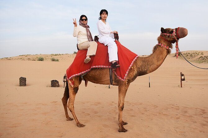 Guided Tour at Starlit Desert with Transportation - What You Can Expect from This Desert Tour