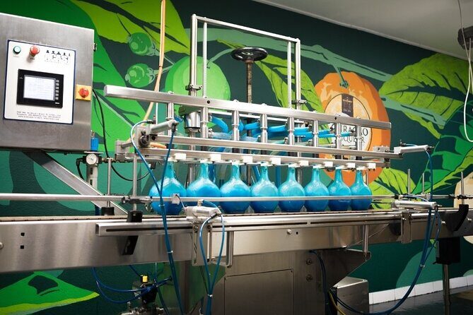 Guided Tour at the Curaçao Liqueur Distillery - What the Reviews Say
