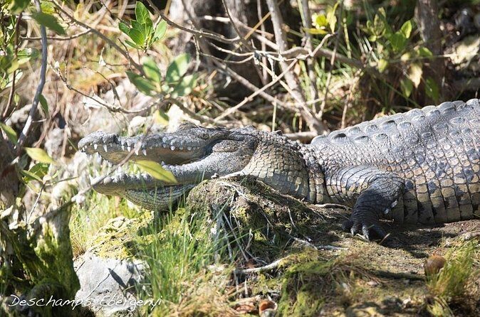 Guided Tour in Sian Ka'an Flora and Fauna Reserve - FAQ