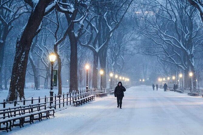 Guided Tour inside Central Park with Pedicab - Practical Tips for Your Tour
