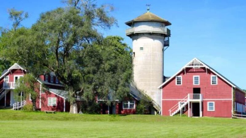 Guided Tour of a Local New England Cranberry Farm - Key Points