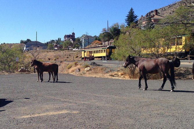 Guided Tour of Historic Virginia City and Carson City from South Lake Tahoe - FAQ