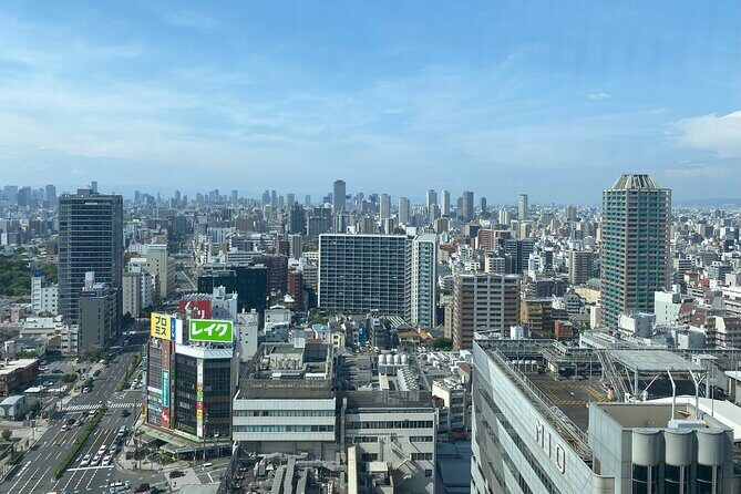 Guided Tour of Some Attractions in Osaka by Private Car - A Thorough Look at the Tour Itinerary