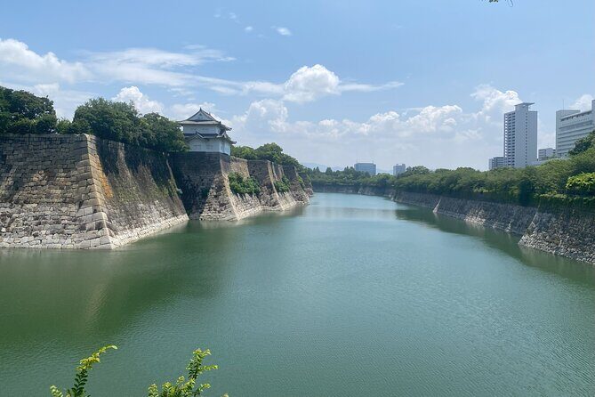 Guided Tour of Some Attractions in Osaka by Private Car - Who This Tour Best Suits
